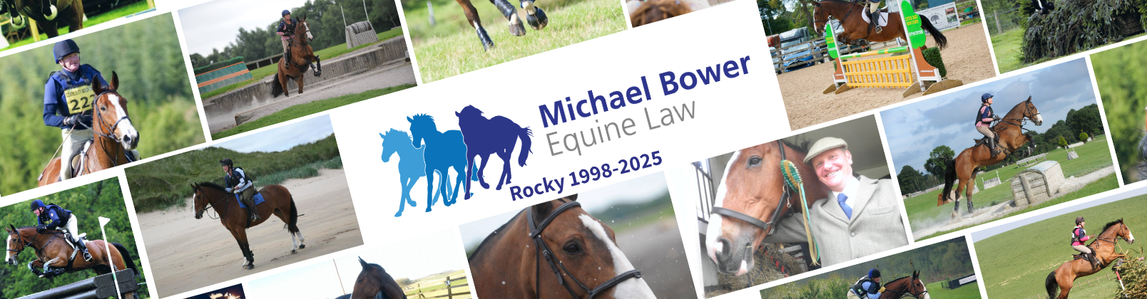 Rocky 1998-2025 - various photos of a horse