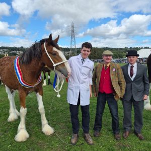 Keighley Show - Clydesdale Foal - Championship